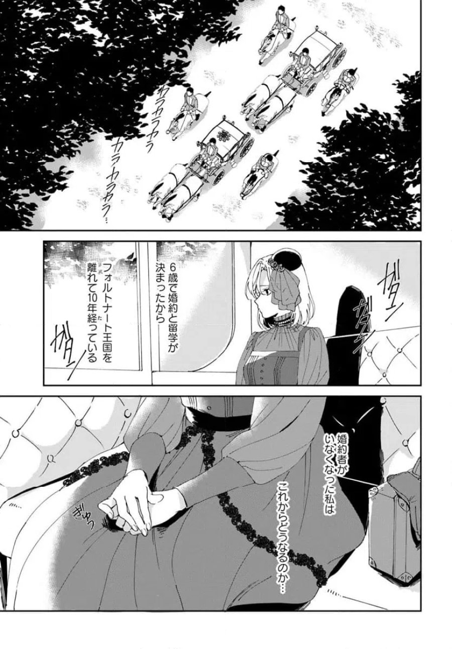 第一王女ルシアの帰還と華麗なる快進撃　海の守護騎士との出逢い 第1話 - Trang 7