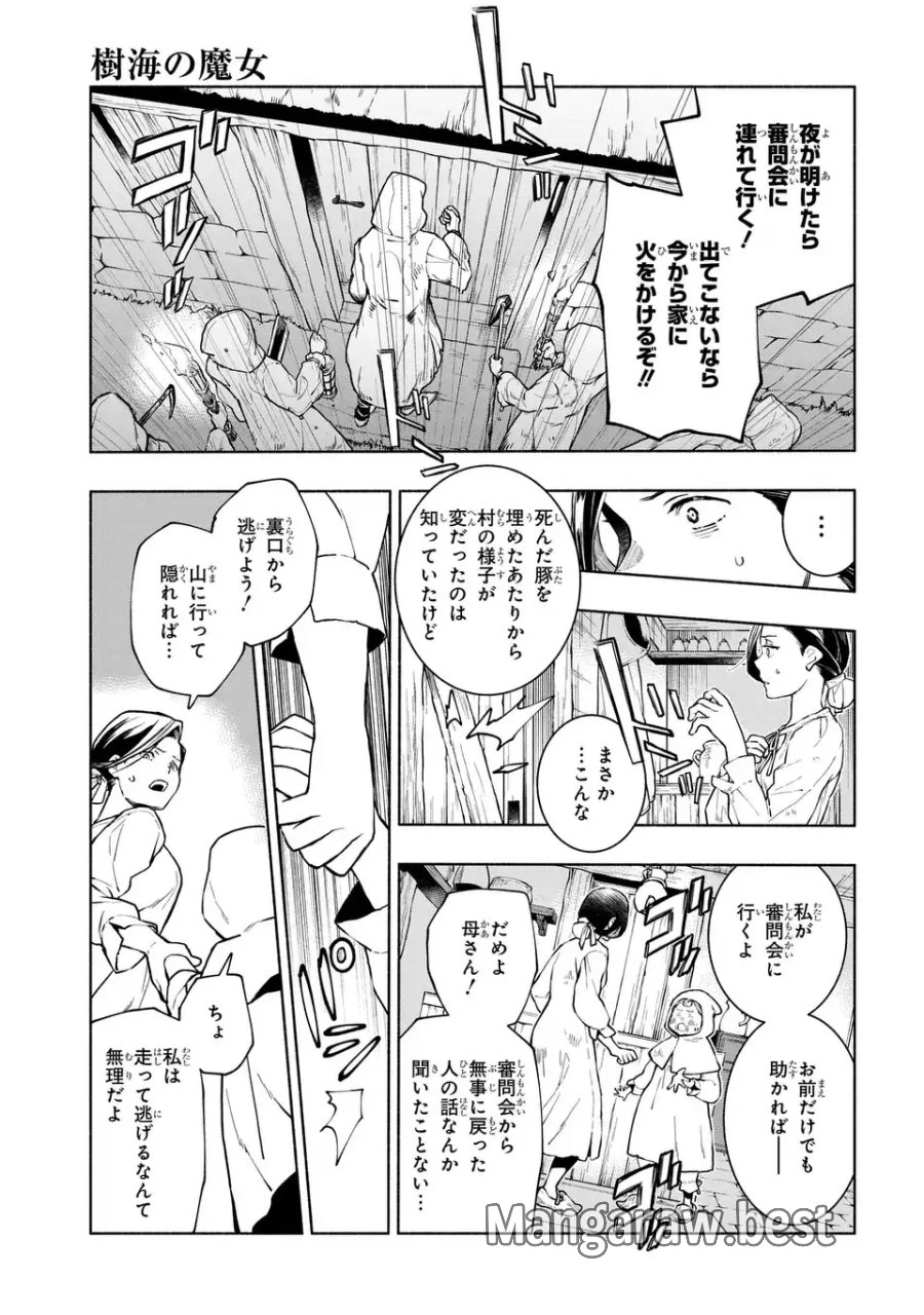 樹海の魔女 第12話 - Page 5