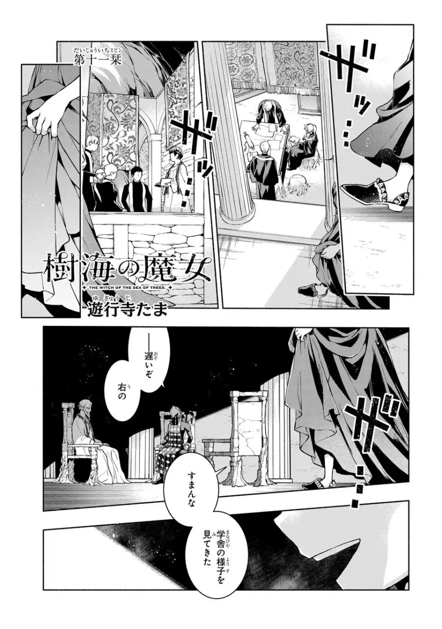 樹海の魔女 第11話 - Page 1