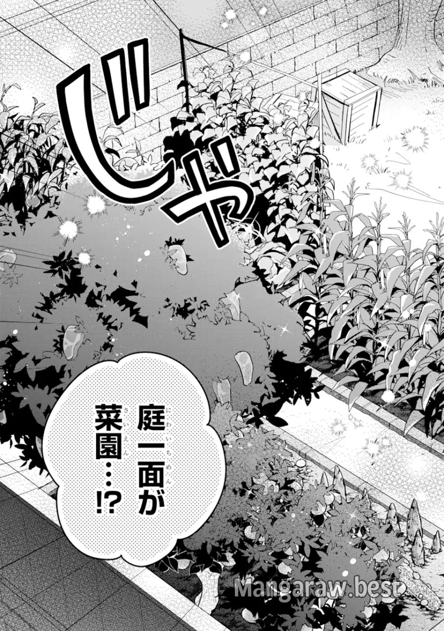 栽培チートで最強菜園～え、ただの家庭菜園ですけど?～ I Grew the Greatest Home Garden With My OP Cultivation Skill? 栽培チートで最強菜園 栽培チートで最強菜園 ~え、ただの家庭菜園ですけど?~ 第2.1話 - Trang 19