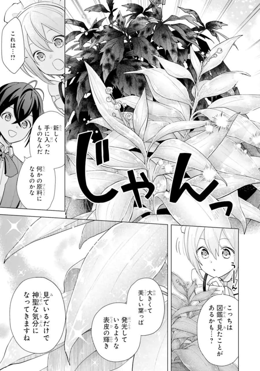 栽培チートで最強菜園～え、ただの家庭菜園ですけど?～ I Grew the Greatest Home Garden With My OP Cultivation Skill? 栽培チートで最強菜園 栽培チートで最強菜園 ~え、ただの家庭菜園ですけど?~ 第19.2話 - Trang 7
