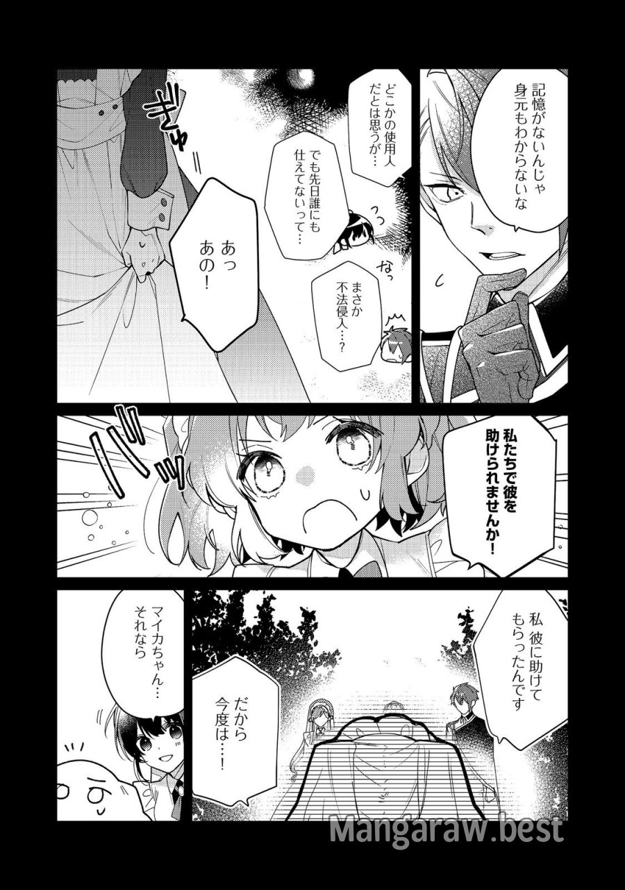 ヒロイン?聖女?いいえ、オールワークスメイドです(誇)! 第35.2話 - Page 5
