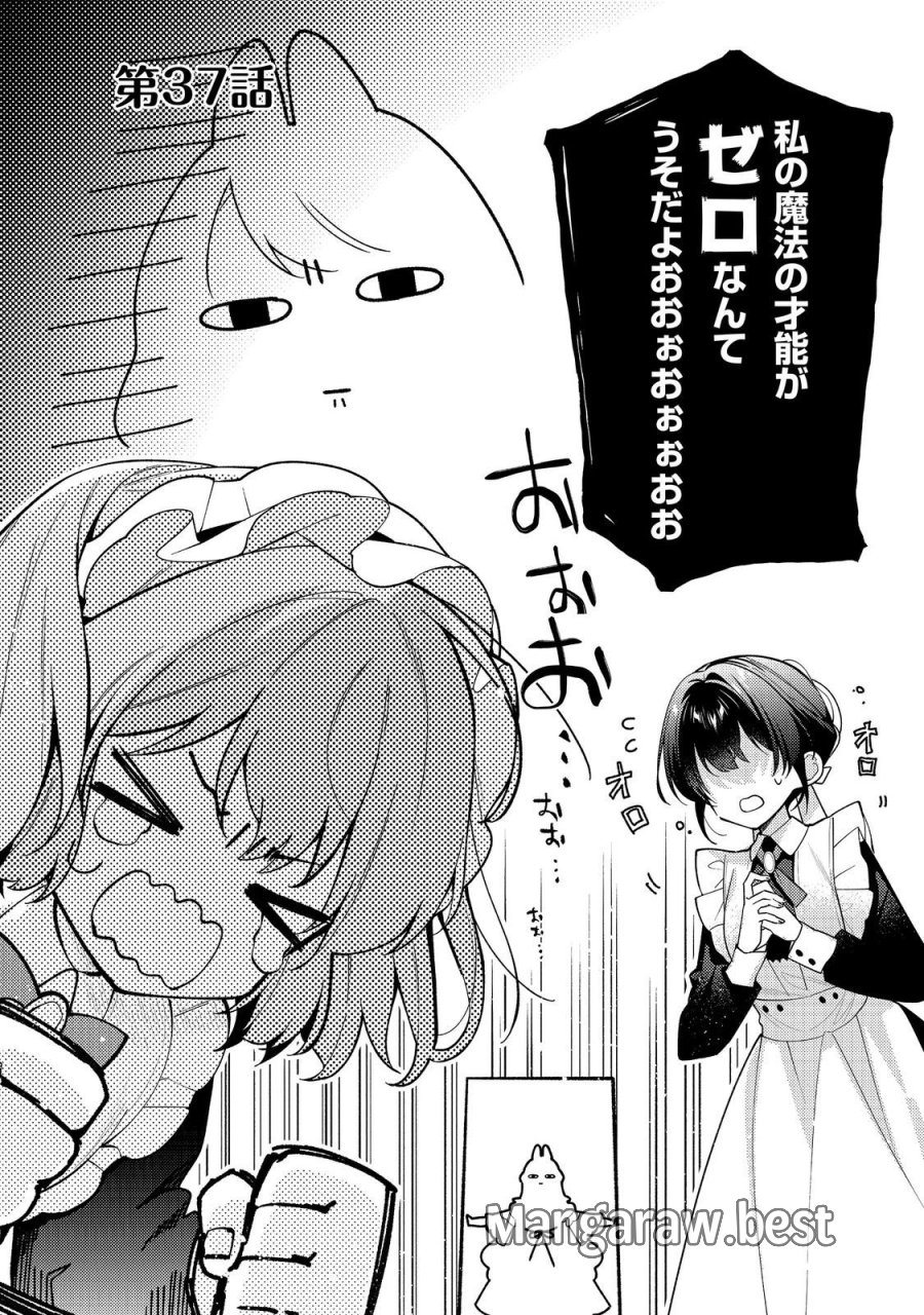 ヒロイン?聖女?いいえ、オールワークスメイドです(誇)! 第37.1話 - Page 2
