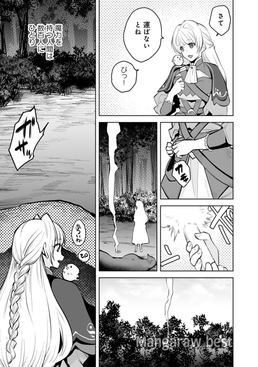呪われたモフモフと追放聖女のもぐもぐ辺境暮らし 第1話 - Page 13