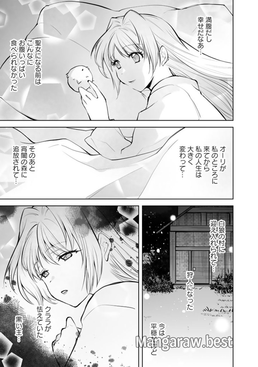 呪われたモフモフと追放聖女のもぐもぐ辺境暮らし 第1話 - Page 43