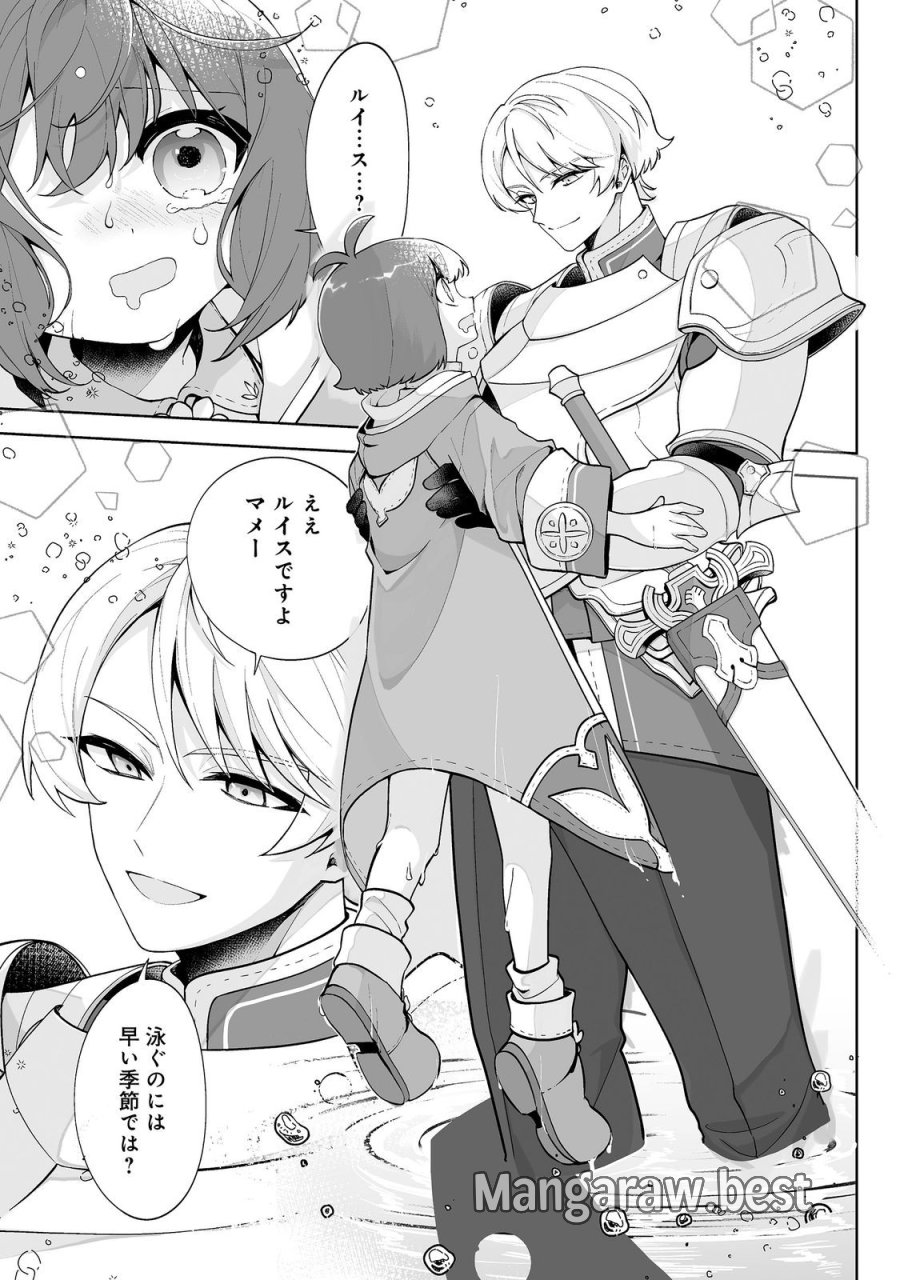 マメーとちっこいの～魔女見習いの少女は鉢植えを手にとことこ歩く～@COMIC 第6.2話 - Trang 15