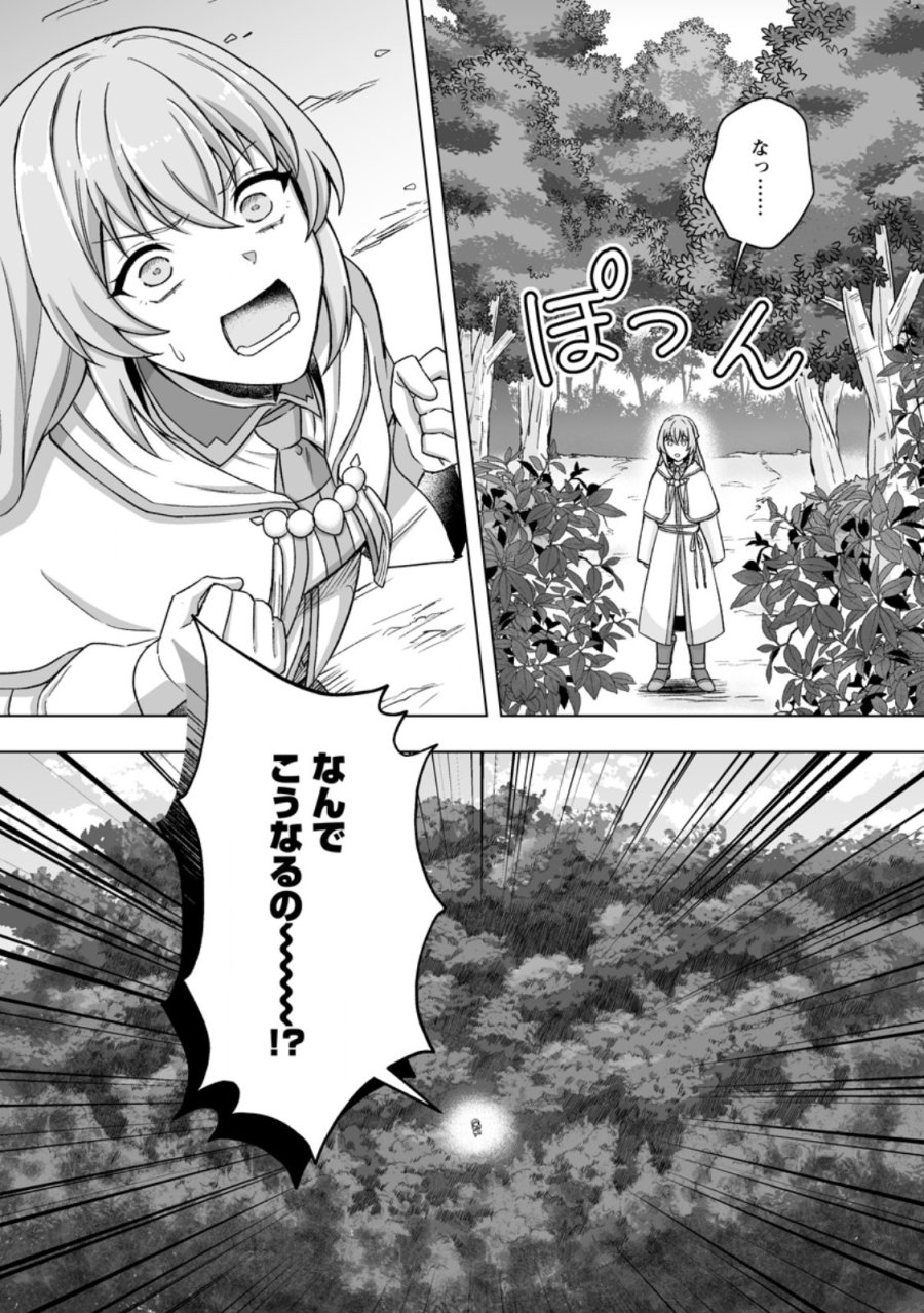 苦節四年、理想の聖女を演じるのに疲れました ～便利屋扱いする国は捨て“白魔導士”となり旅に出る～ 第11.3話 - Page 10