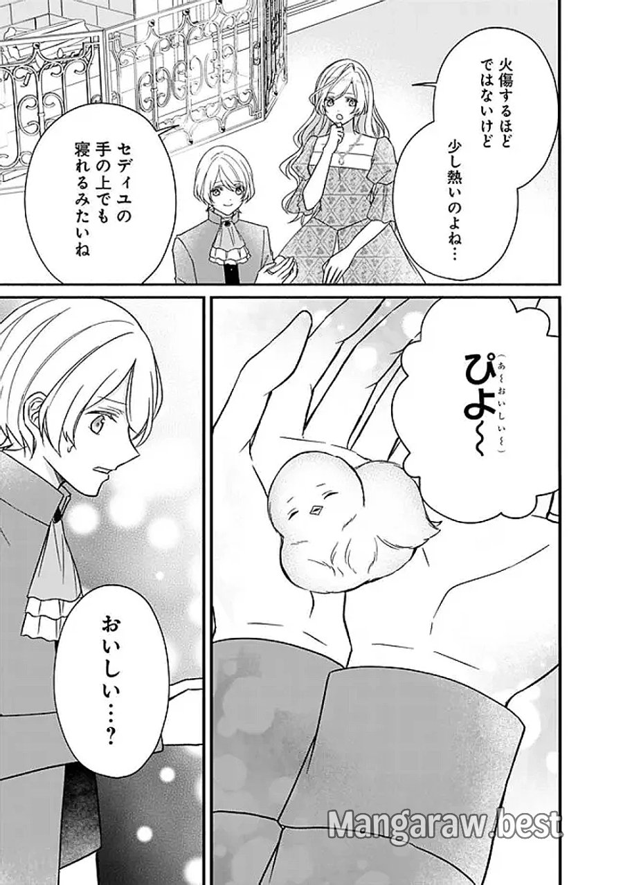 予言された悪役令嬢は小鳥と謳う ~未来を知る専属執事に「君を救う」と言われました~ 第13話 - Page 19