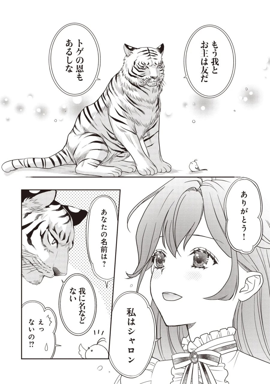 最恐辺境伯に拾われました、小鳥(=悪女?)です 第6.1話 - Page 11