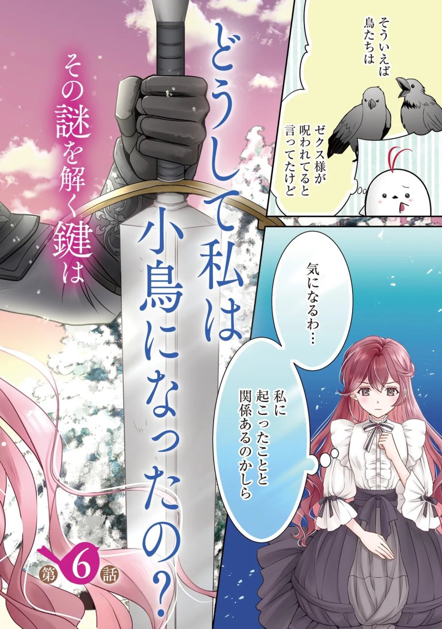 最恐辺境伯に拾われました、小鳥(=悪女?)です 第6.1話 - Page 2