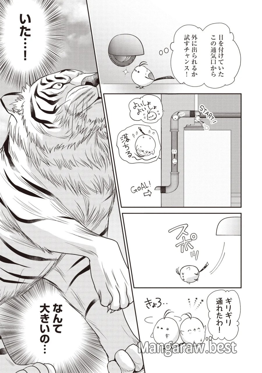 最恐辺境伯に拾われました、小鳥(=悪女?)です 第6.1話 - Page 6