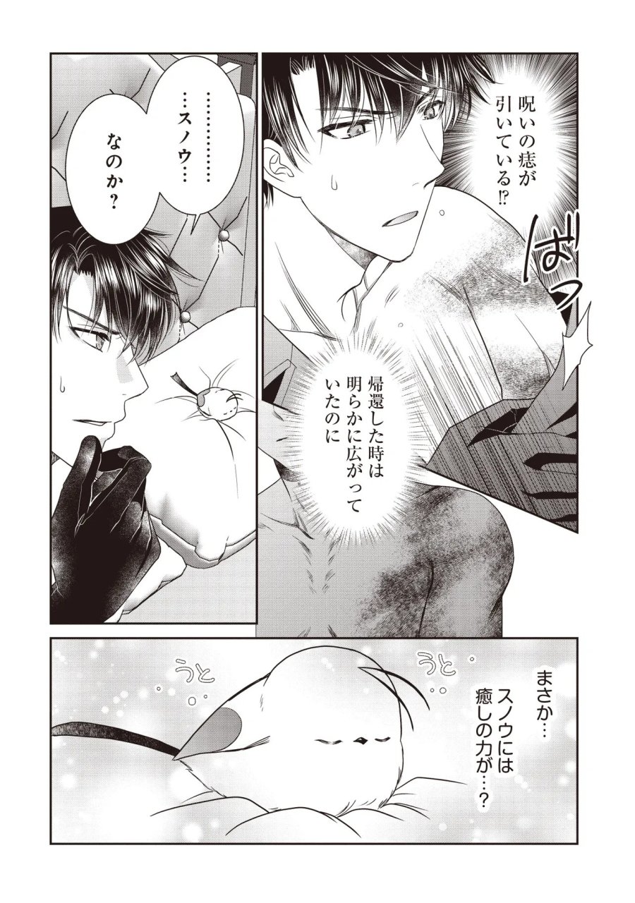最恐辺境伯に拾われました、小鳥(=悪女?)です 第6.2話 - Page 12