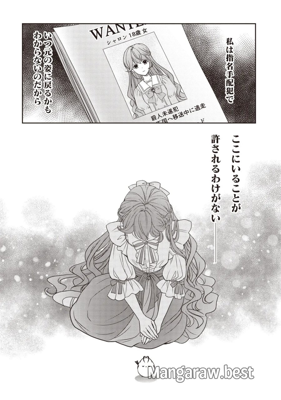 最恐辺境伯に拾われました、小鳥(=悪女?)です 第5.2話 - Trang 13