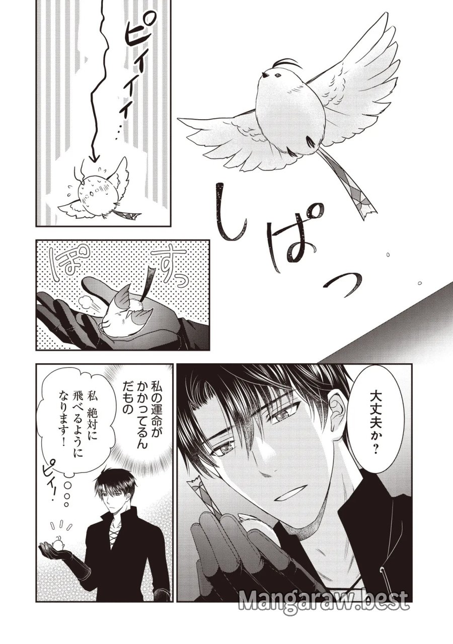 最恐辺境伯に拾われました、小鳥(=悪女?)です 第5.2話 - Trang 3