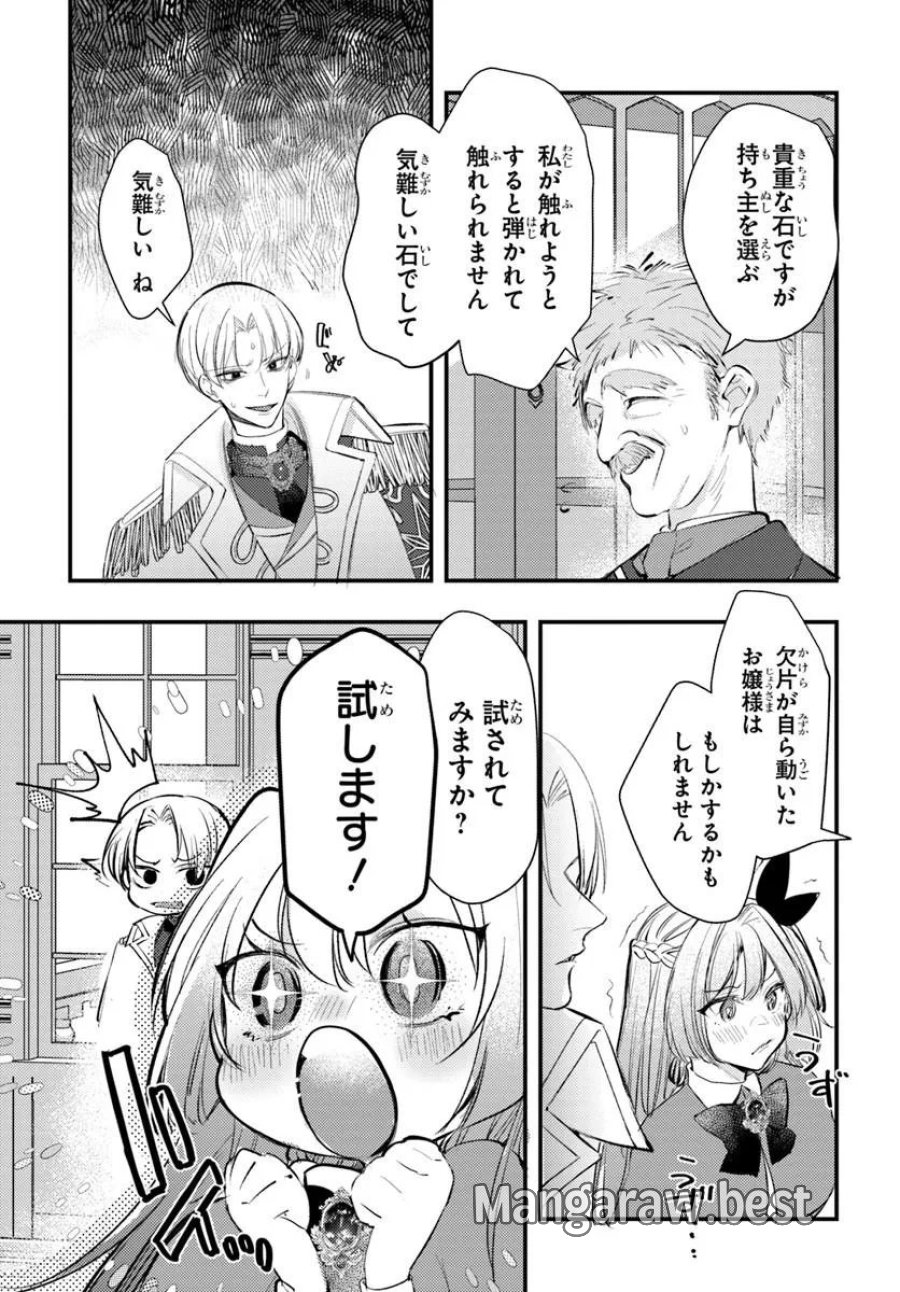 精霊に「お前は主人にふさわしくない、契約破棄してくれ!」と言われたので、欲しがっている妹に譲ります 第9.2話 - Trang 4