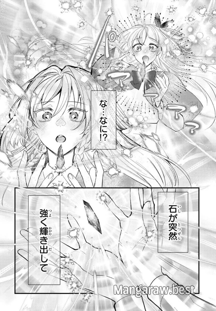 精霊に「お前は主人にふさわしくない、契約破棄してくれ!」と言われたので、欲しがっている妹に譲ります 第9.2話 - Trang 9