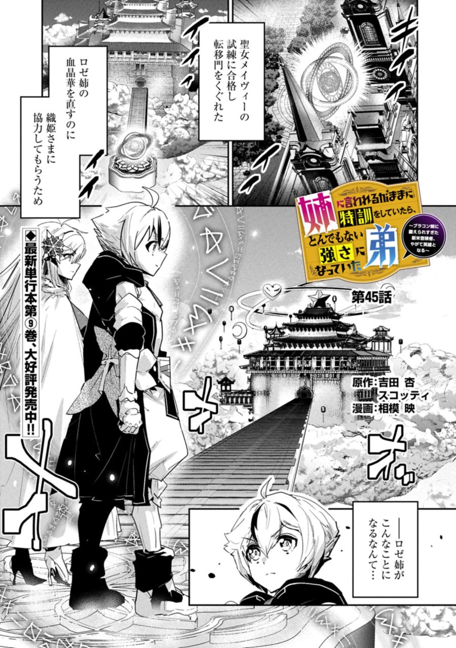 姉に言われるがままに特訓をしていたら、とんでもない強さになっていた弟 〜やがて最強の姉を超える〜 第45.1話 - Page 1