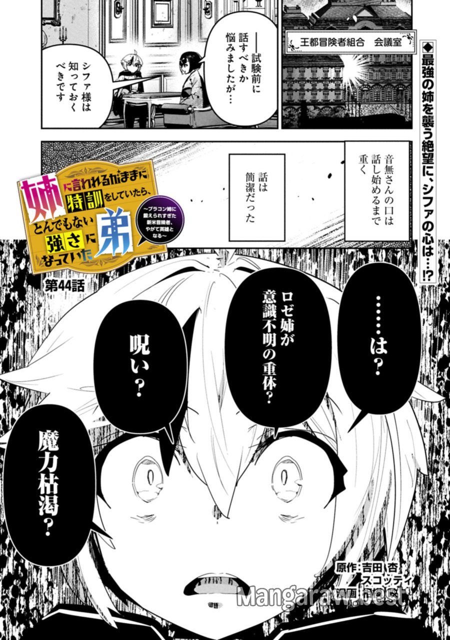 姉に言われるがままに特訓をしていたら、とんでもない強さになっていた弟 〜やがて最強の姉を超える〜 第44.1話 - Page 1