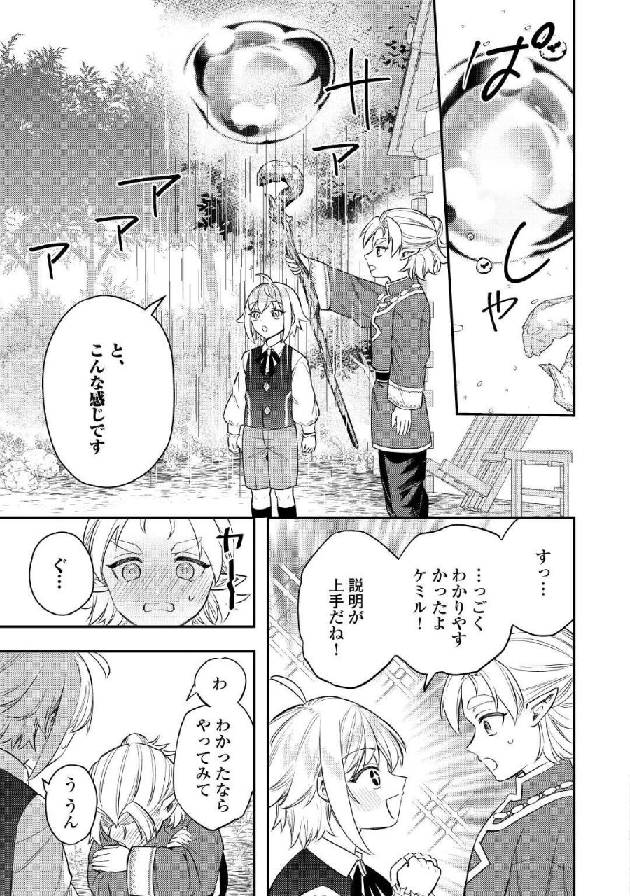 転生したら、なんか頼られるんですが 第30話 - Page 17