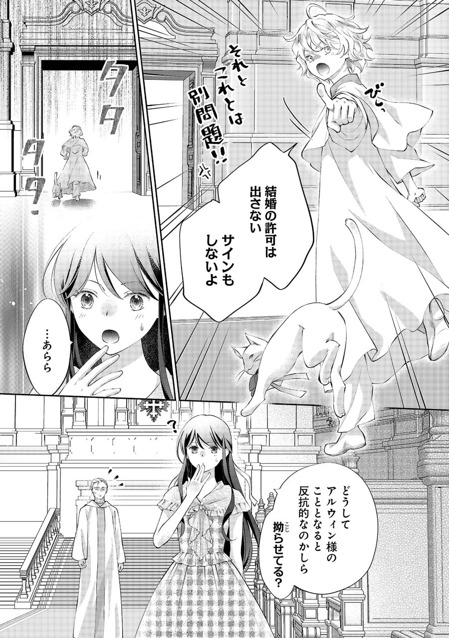 白い結婚から三年。旦那様、私と離縁してください 第23.3話 - Page 2