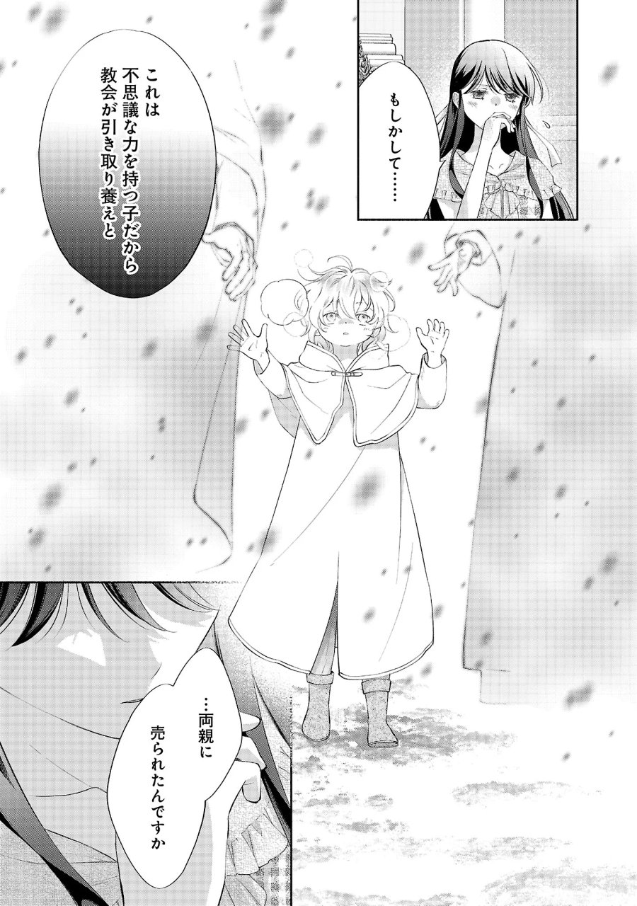 白い結婚から三年。旦那様、私と離縁してください 第23.3話 - Page 6