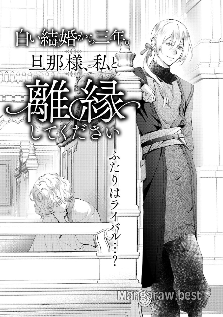 白い結婚から三年。旦那様、私と離縁してください 第23.1話 - Page 4