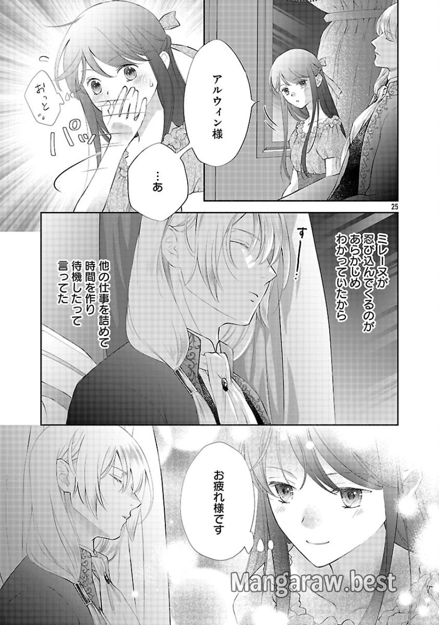 白い結婚から三年。旦那様、私と離縁してください 第22話 - Trang 27