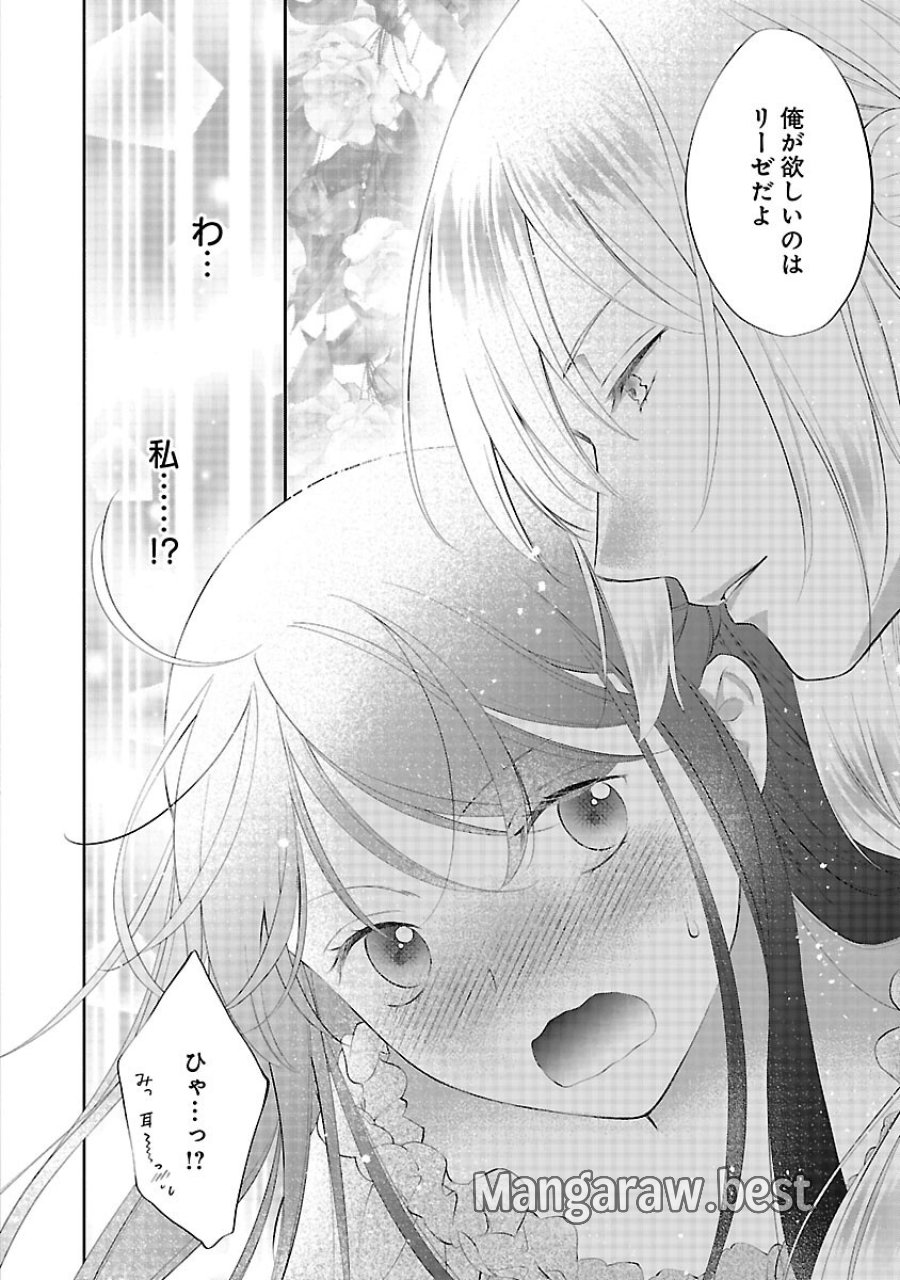 白い結婚から三年。旦那様、私と離縁してください 第22話 - Trang 30