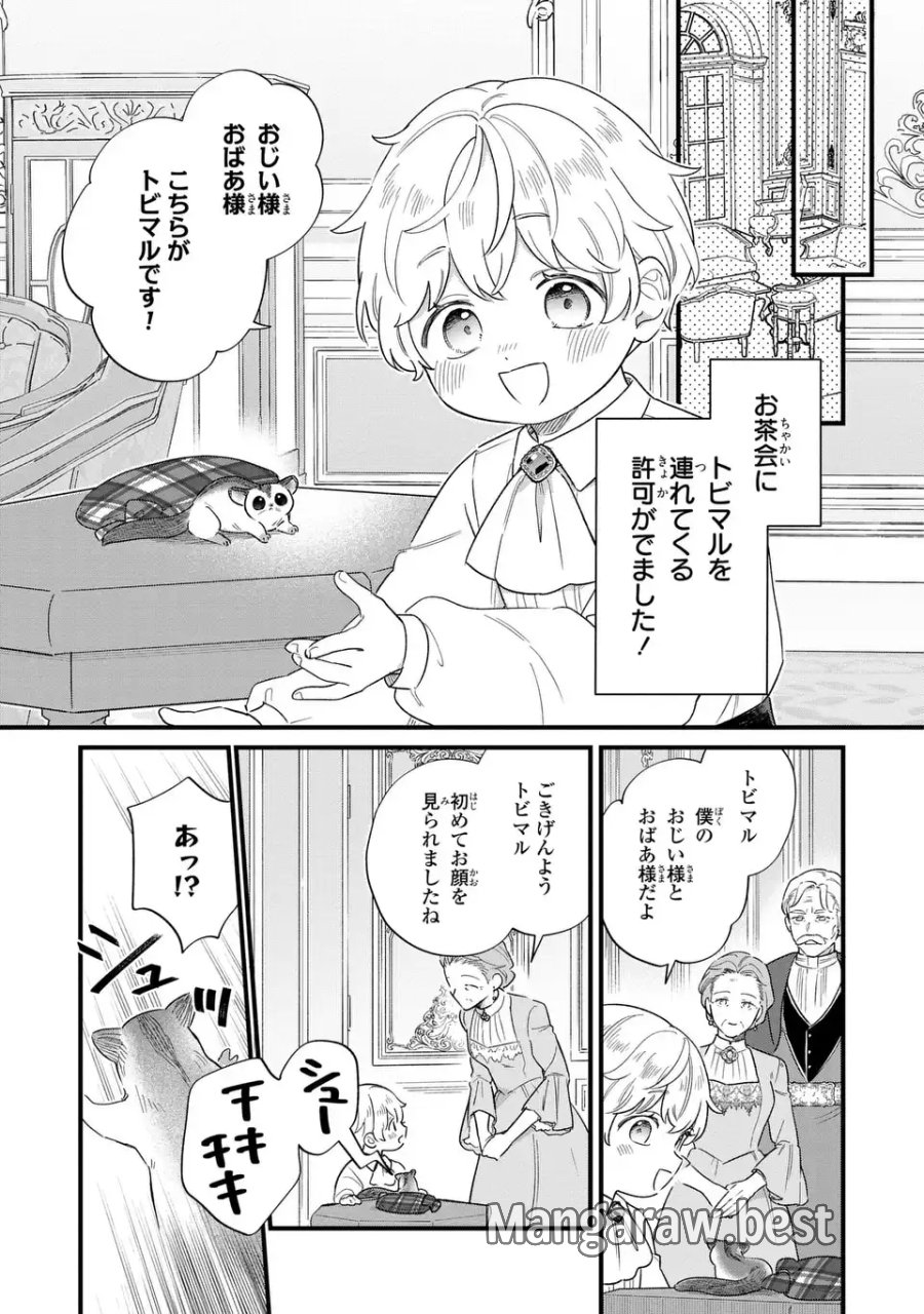 悪役のご令息のどうにかしたい日常 第67話 - Page 3