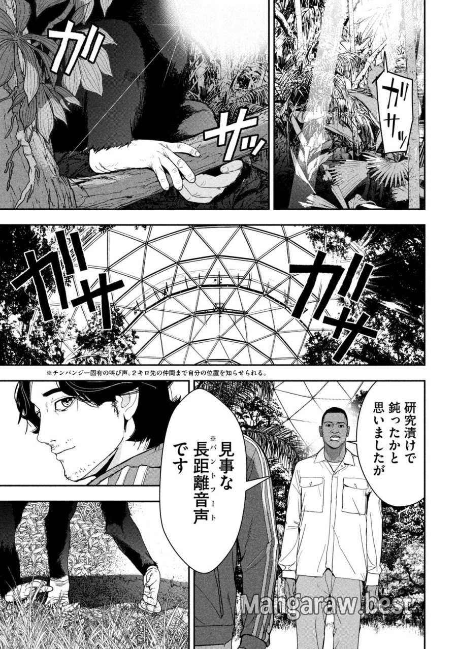 Ank : A Mirroring Ape 第1話 - Page 15
