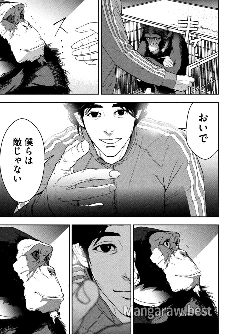 Ank : A Mirroring Ape 第1話 - Page 29