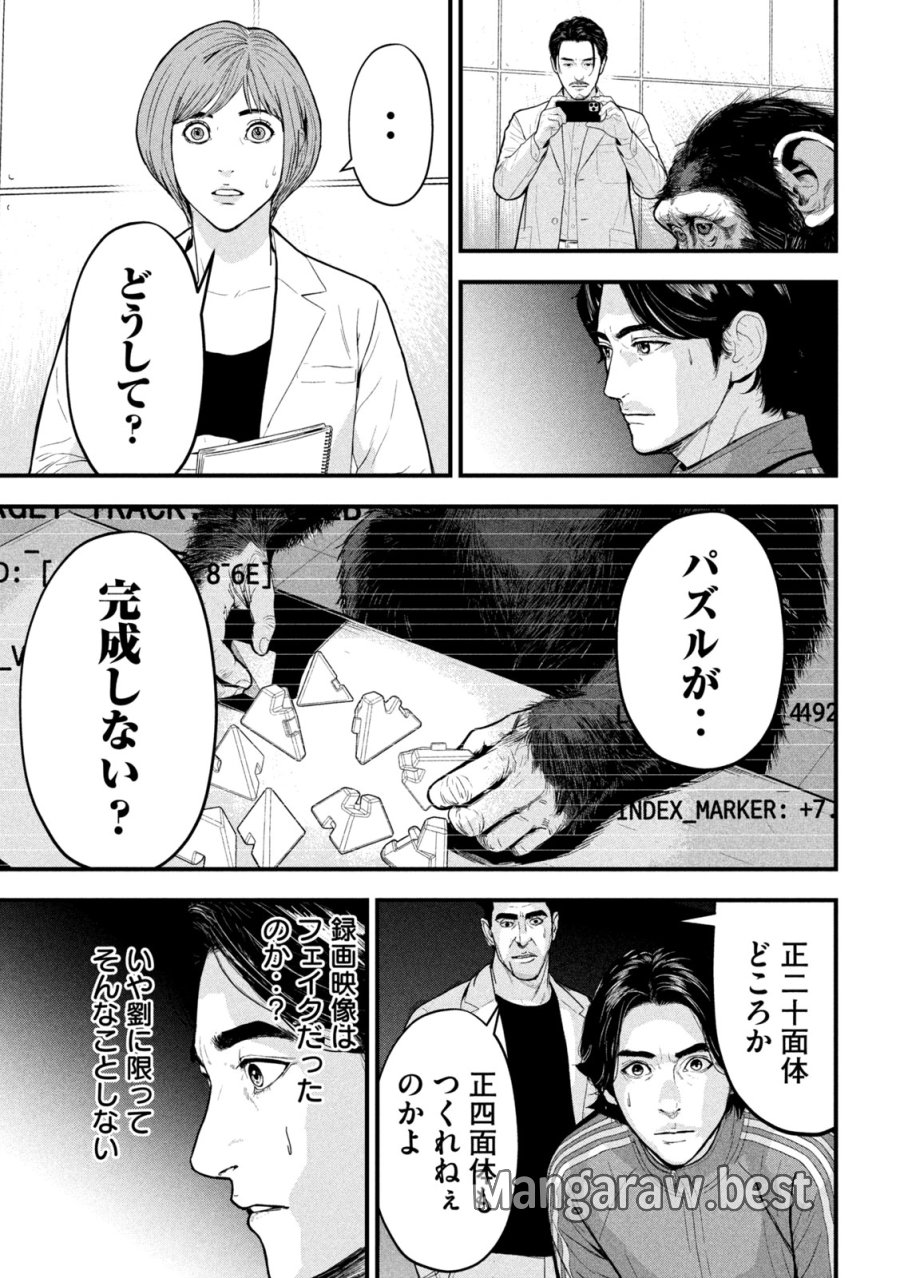 Ank : A Mirroring Ape 第2話 - Page 17