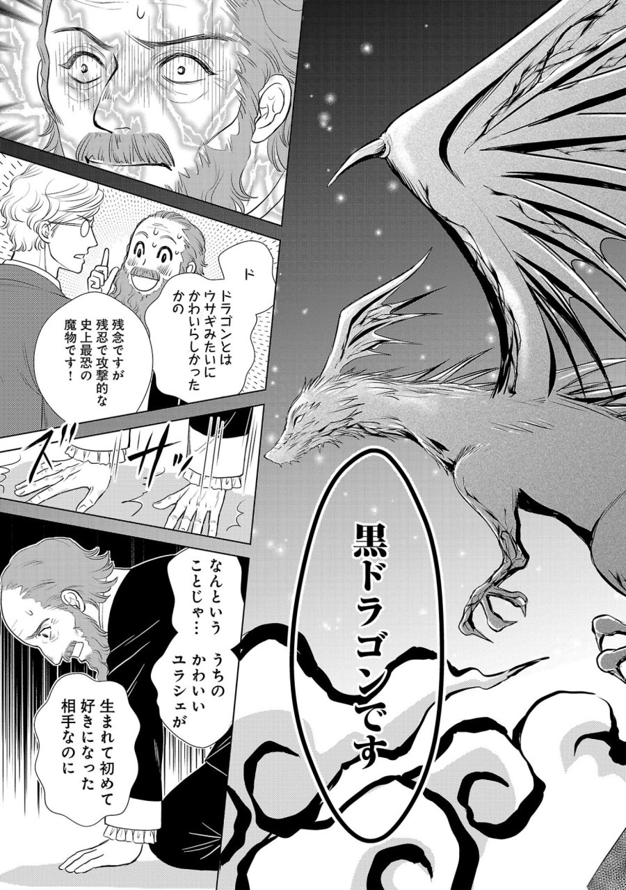 優しい婚約者の様子が変です〜お嬢様は黒髪の魔法使いに恋をする〜 第14話 - Page 3