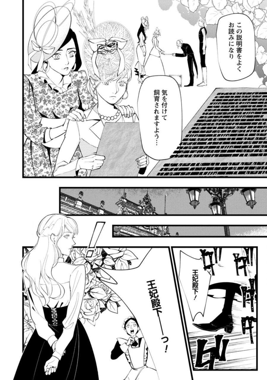 どクズな家族と別れる方法 天才の姉は実はダメ女。無能と言われた妹は救国の魔導士だった 第24.2話 - Page 4