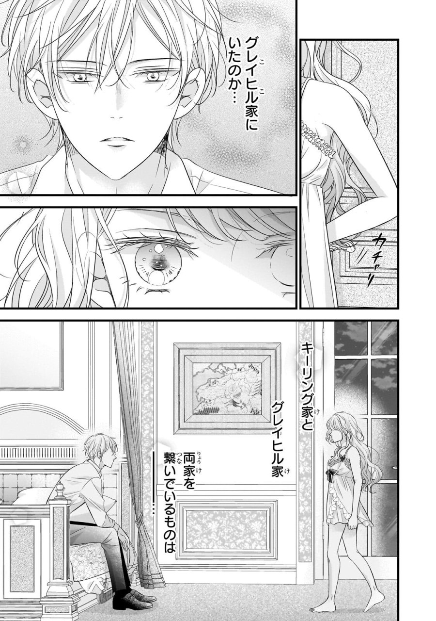 仕事人間な伯爵令嬢は氷の宰相様の愛を見誤っている 第16.2話 - Trang 4