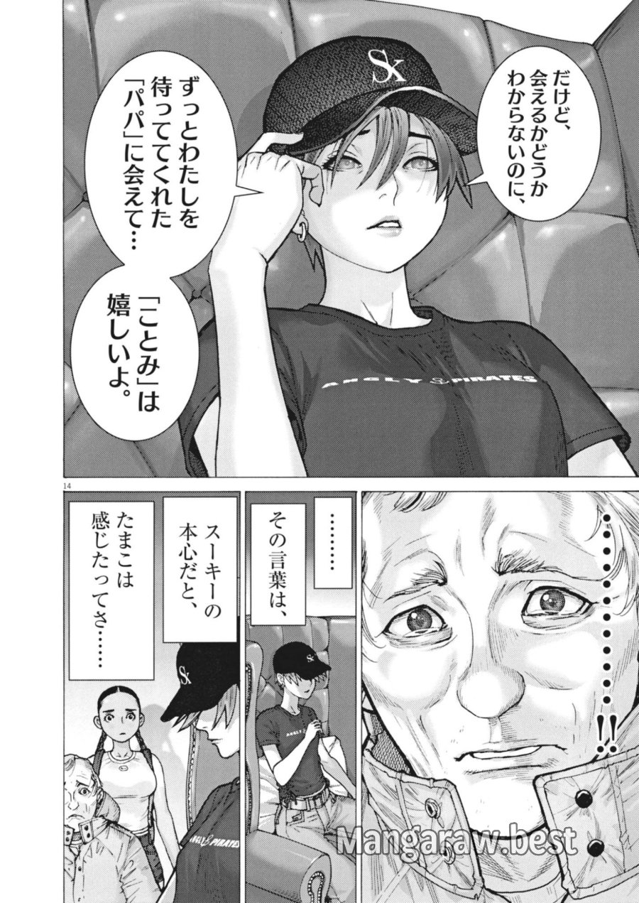 まなざし珠子の自由研究 第14話 - Page 14