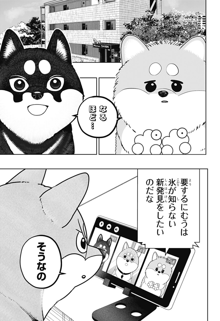 シバつき物件 第49話 - Page 13