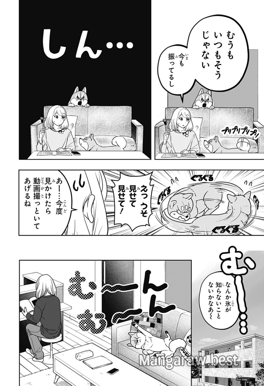 シバつき物件 第49話 - Page 8