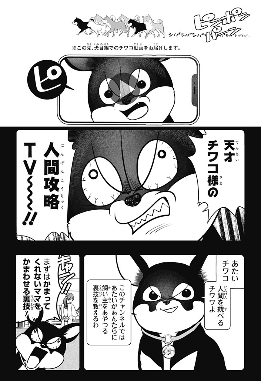 シバつき物件 第52話 - Page 16