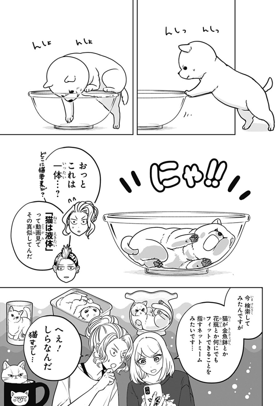 シバつき物件 第53話 - Page 11