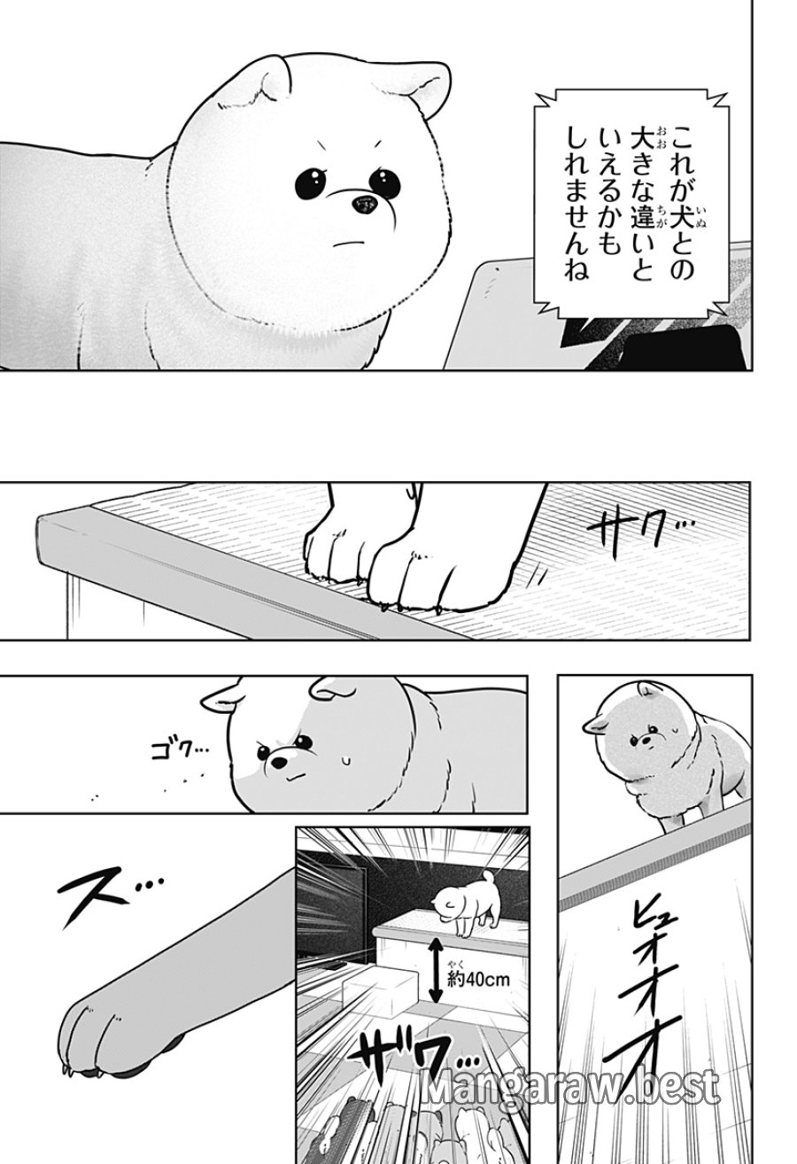 シバつき物件 第53話 - Page 15