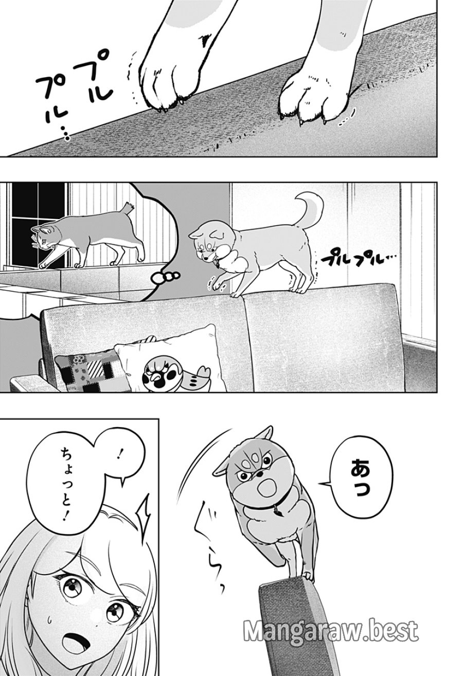 シバつき物件 第53話 - Page 25