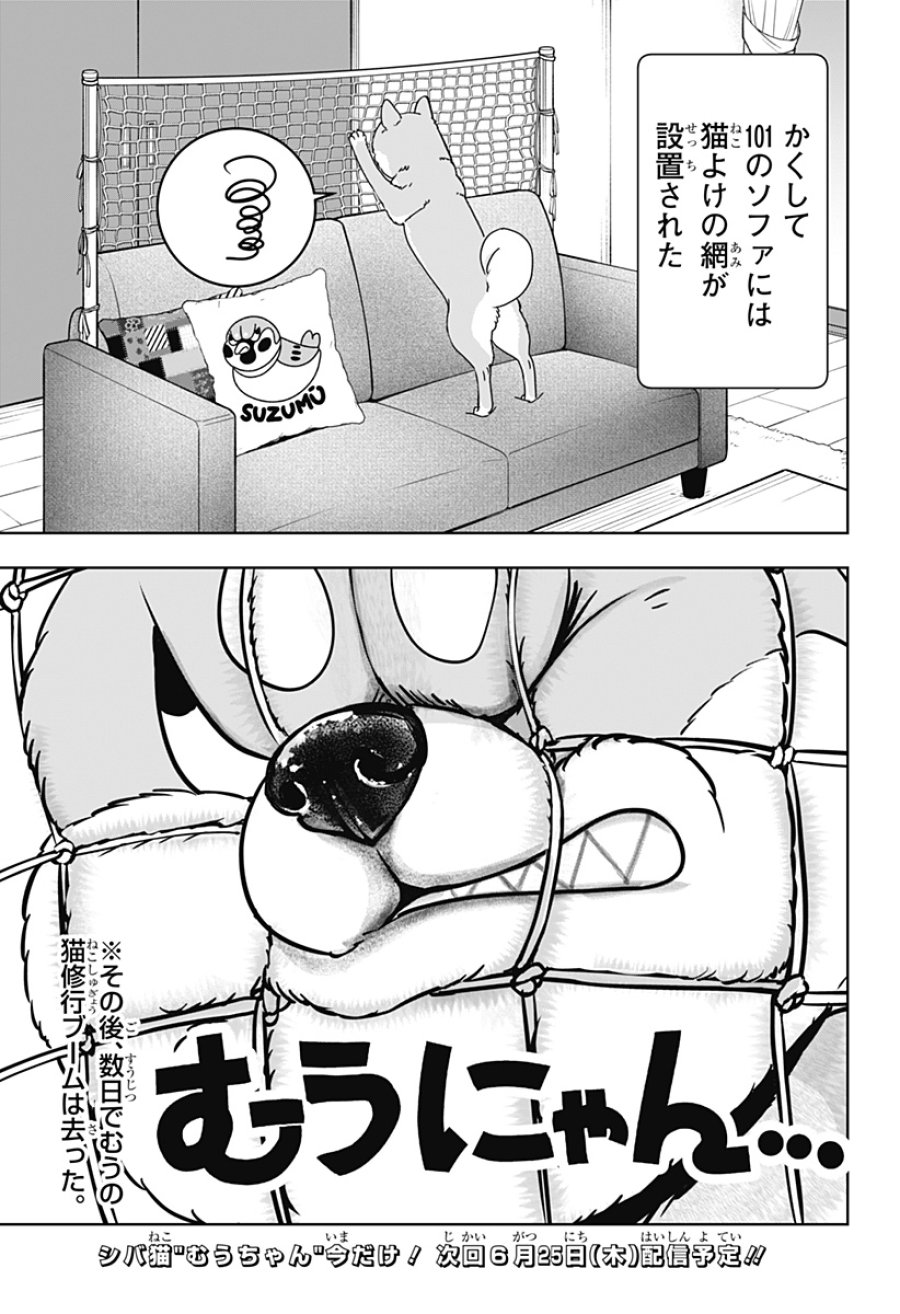 シバつき物件 第53話 - Page 27