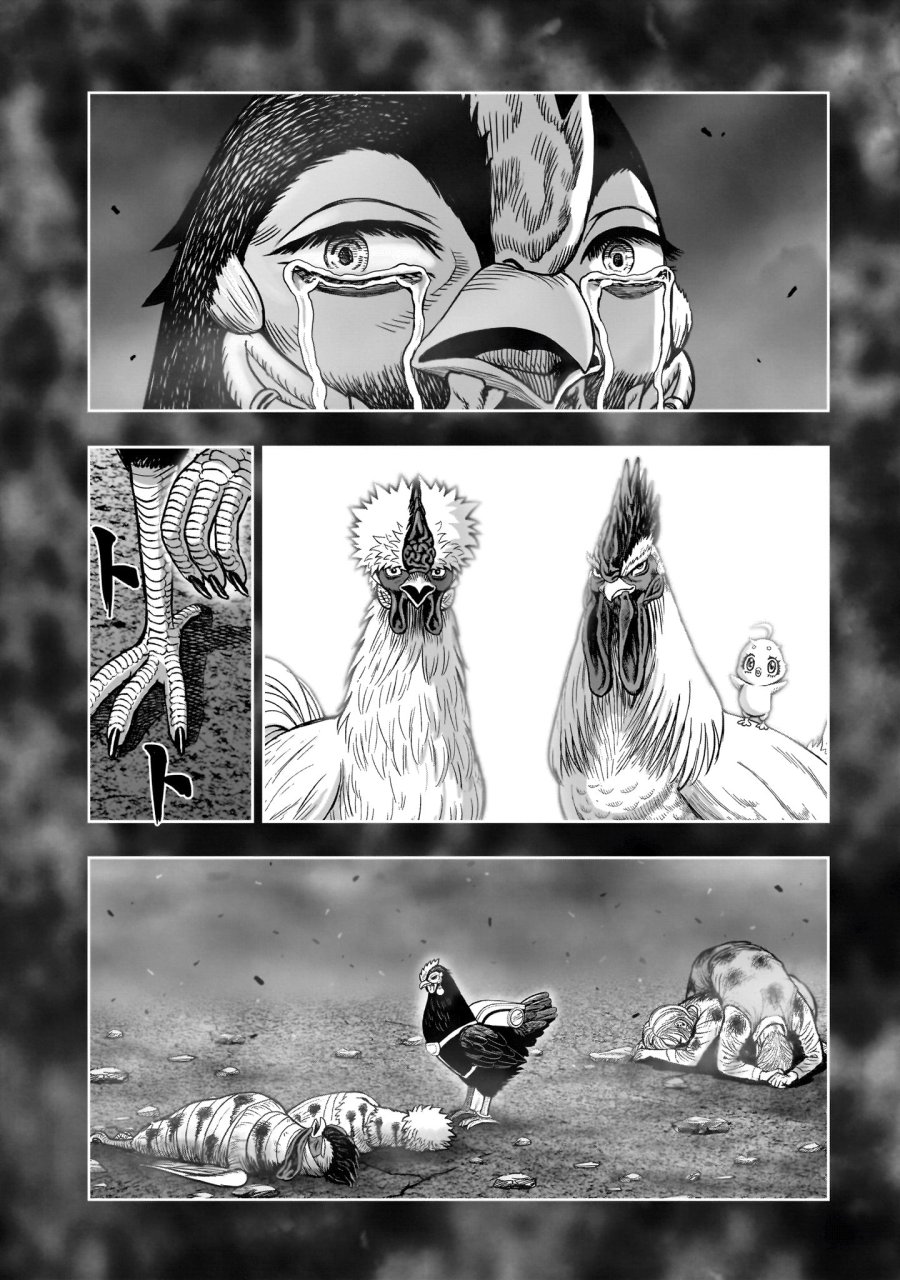 ニワトリ・ファイター 第60話 - Page 22