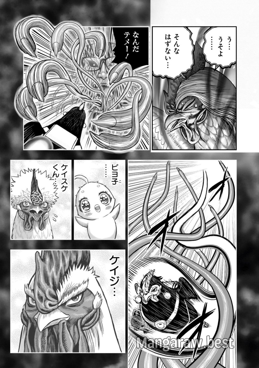 ニワトリ・ファイター 第60話 - Page 39