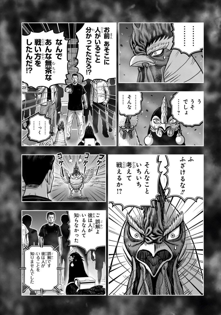 ニワトリ・ファイター 第60話 - Page 4