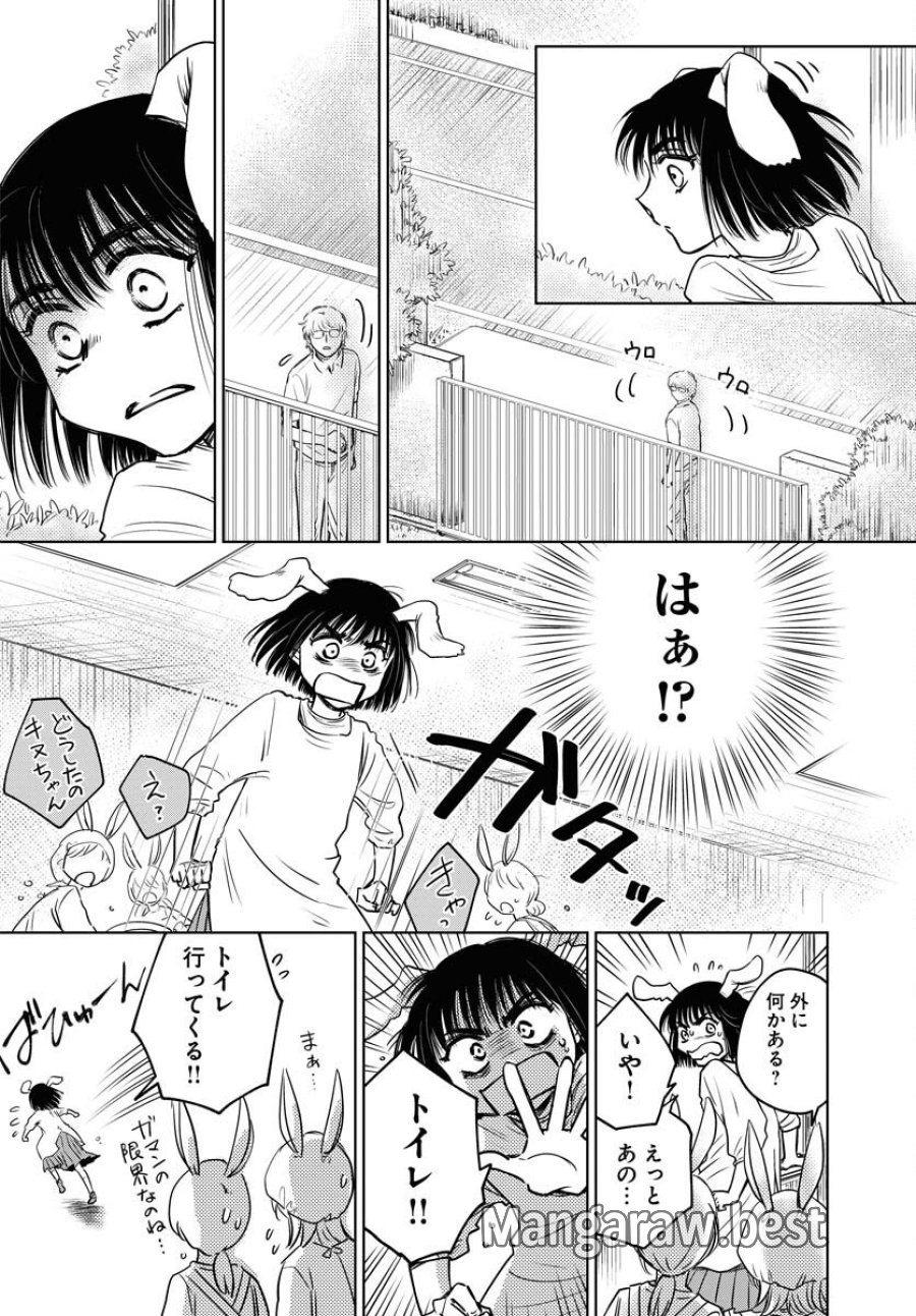 うさぎも夢見るクリームソーダ 第8話 - Page 8