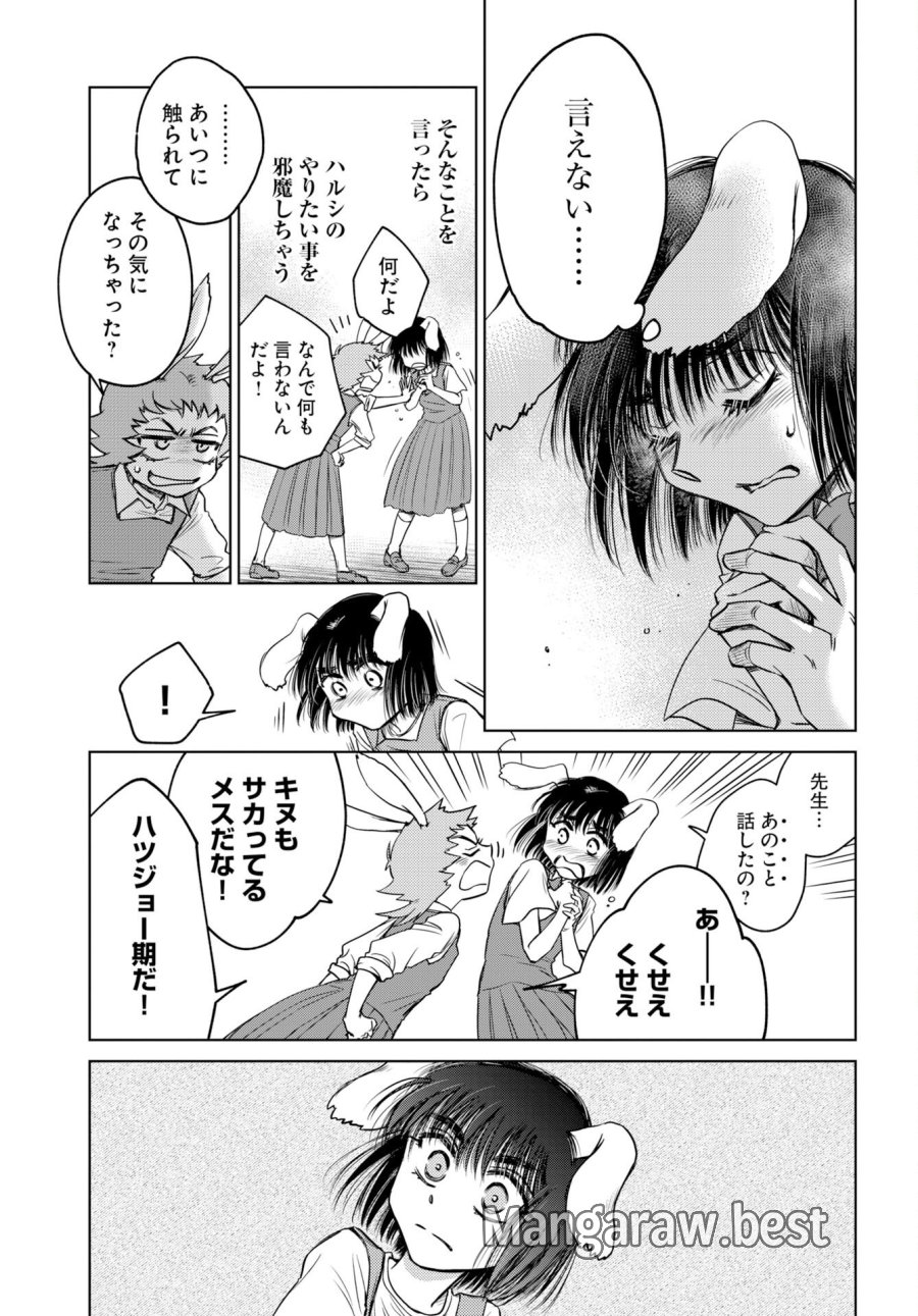 うさぎも夢見るクリームソーダ 第11話 - Page 5