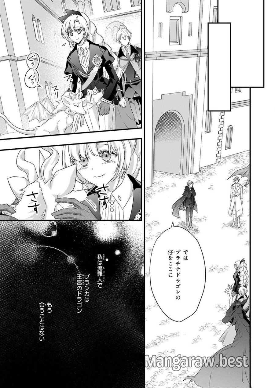 追放されたドラゴン好き令嬢は、北方辺境伯の愛に気づかない 第6話 - Page 17