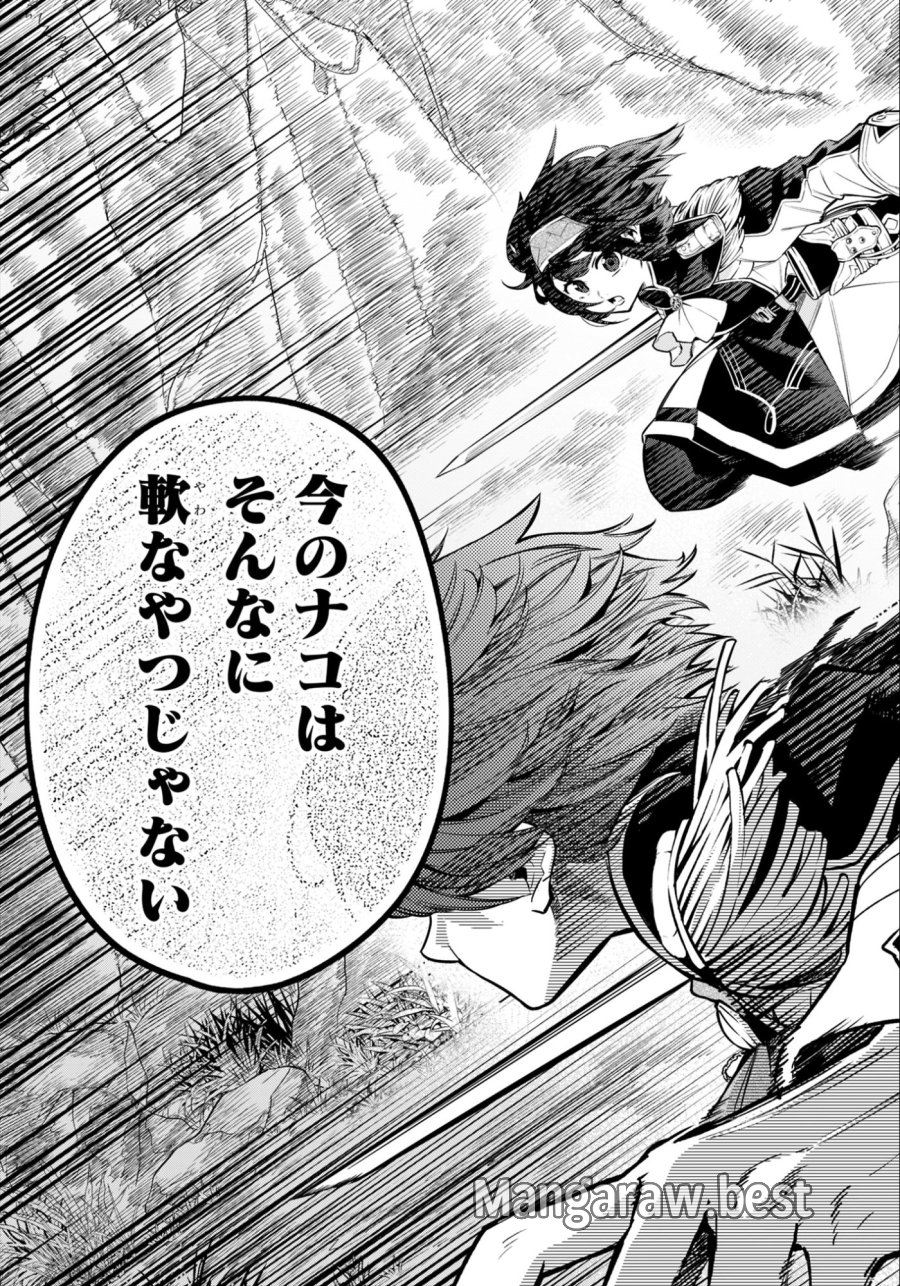 剣を持たない剣聖、貴族に支配された騎士学園で無双する 第11.1話 - Page 13
